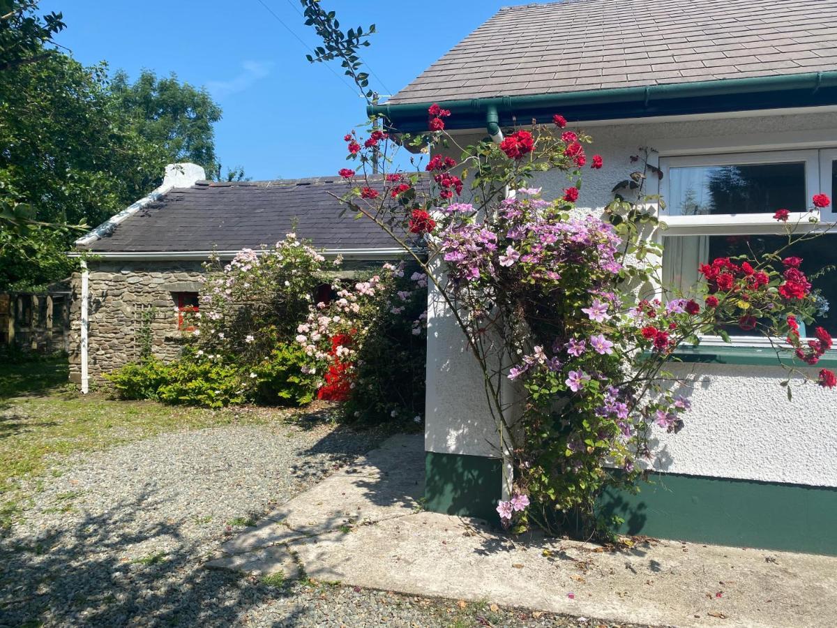 Hawthorn Cottage グリーンキャッスル エクステリア 写真